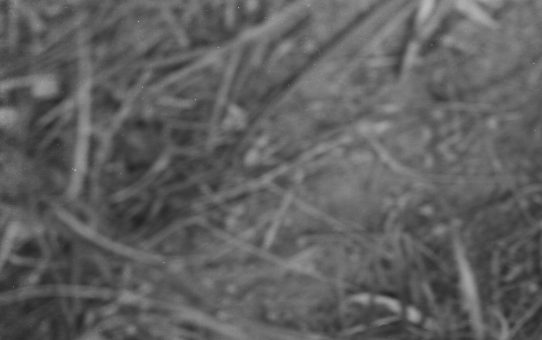 全軍労スト第2波