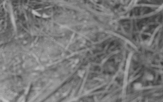 全軍労スト第2波