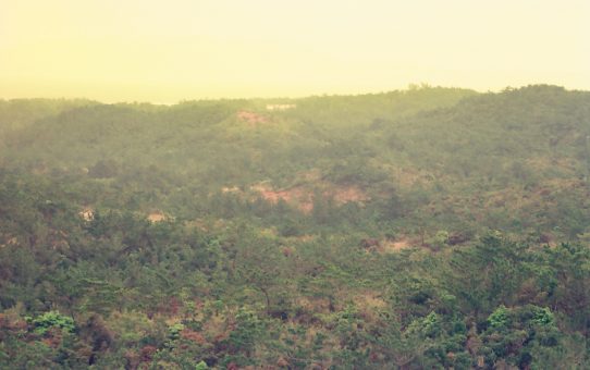 復帰後米軍基地調査・住民運動交流団