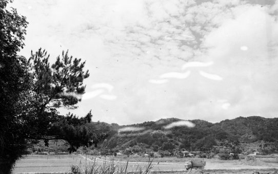 教公二//平氏インターネガ４点在中