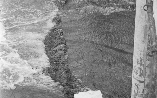 米軍基地　水質汚染被害