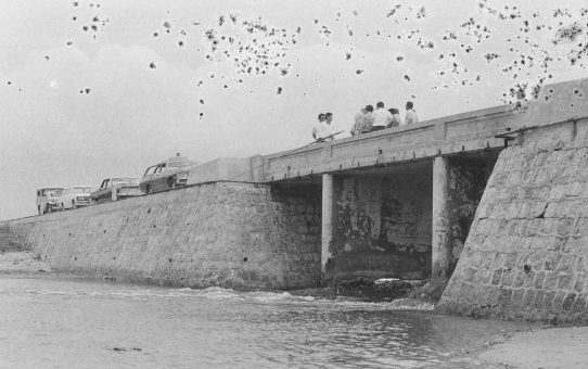 米軍基地　水質汚染被害