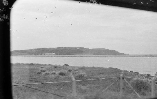 米軍基地　水質汚染被害