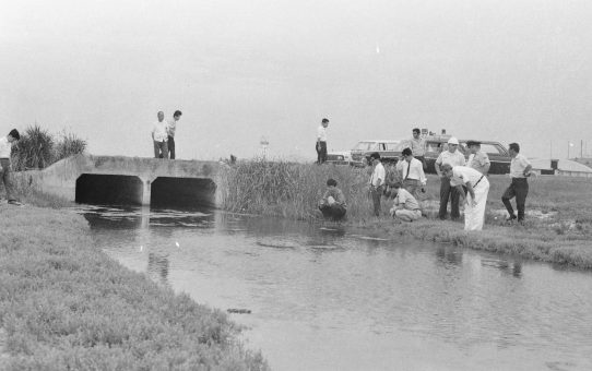 米軍基地　水質汚染被害