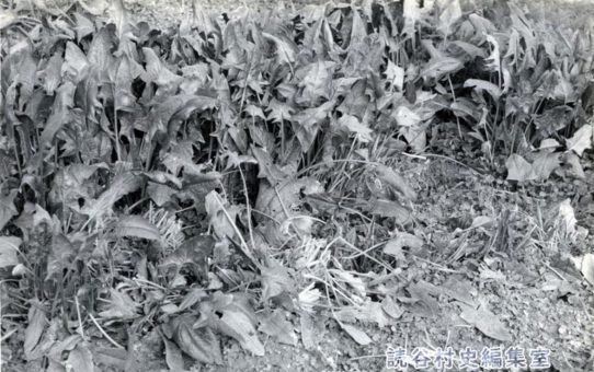 全軍労第2波スト